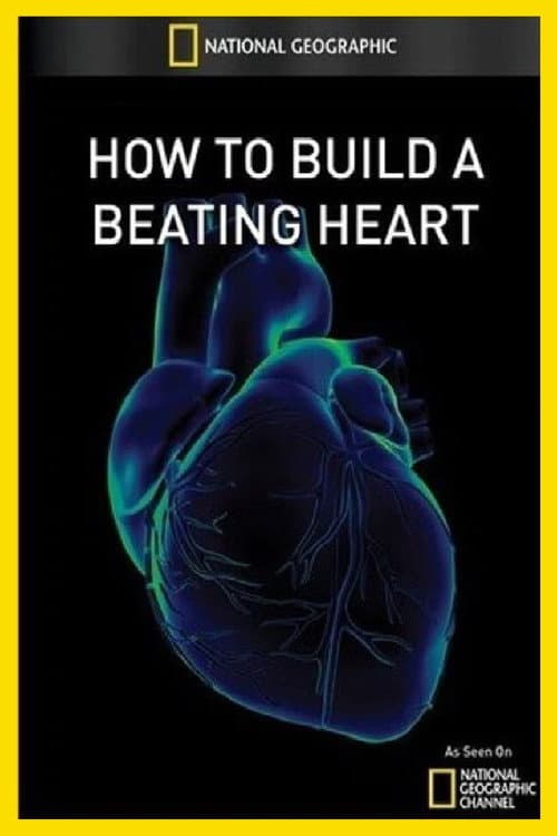 How to Build A Beating Heart (2011) poster