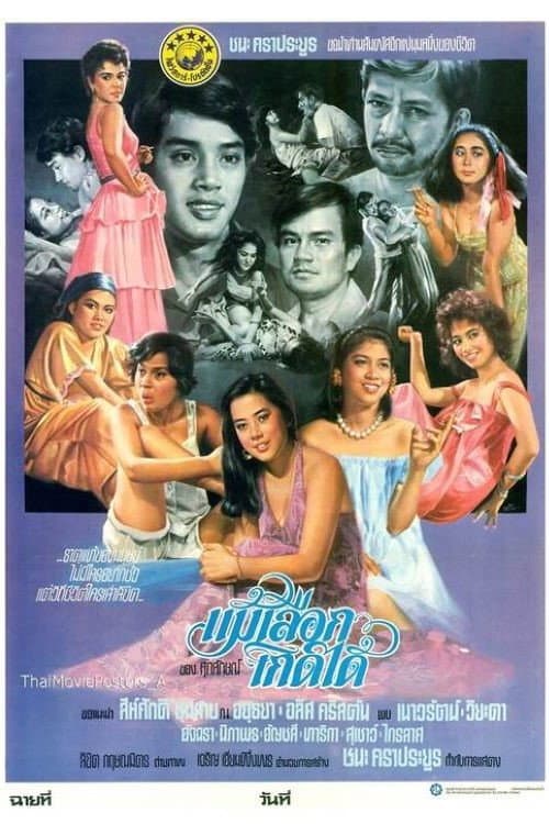 Mae Luek Kerd Dai (1982) poster