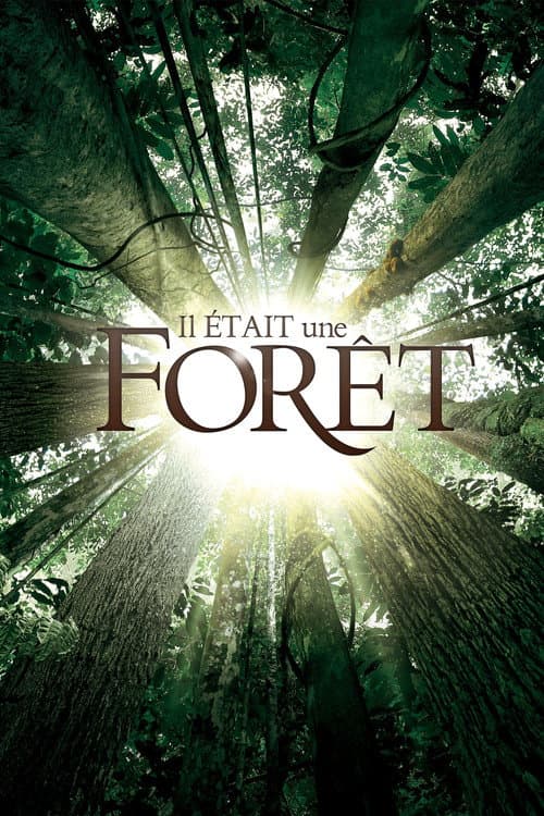 Once Upon A Forest (2013) poster