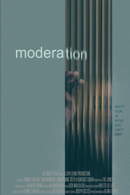 Moderation (2026) poster