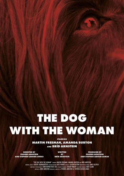 The Dog with the Woman (2017) poster