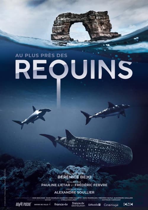Au plus près des requins (2022) poster