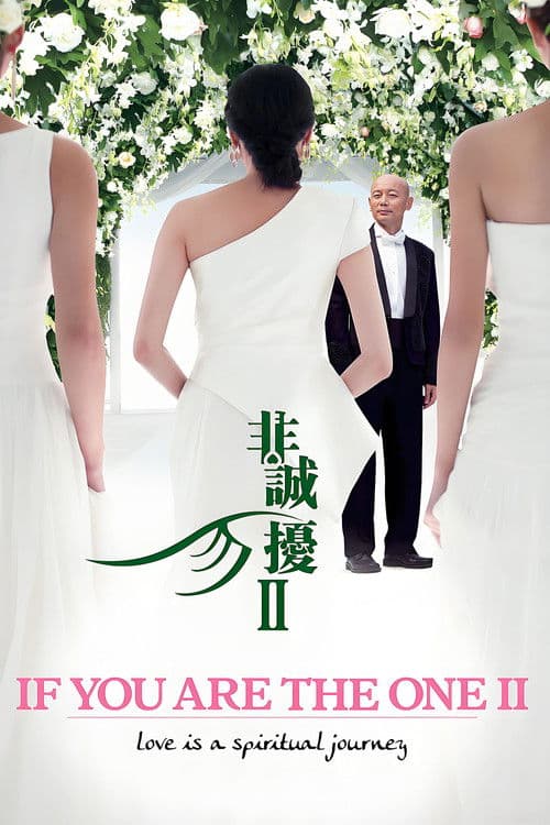 Fei Cheng Wu Rao 2 (2010) poster