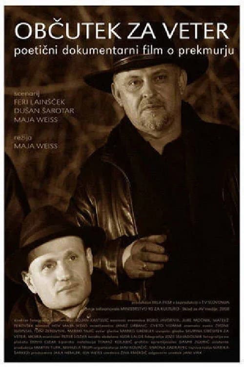 Občutek za veter (2008) poster