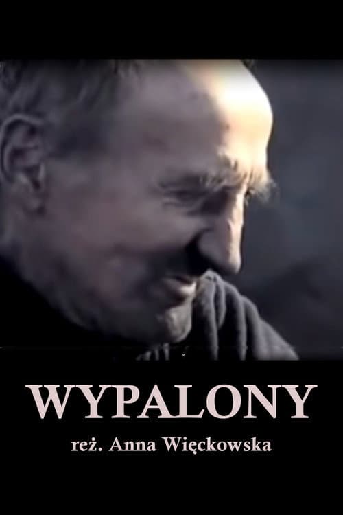Wypalony (2007) poster
