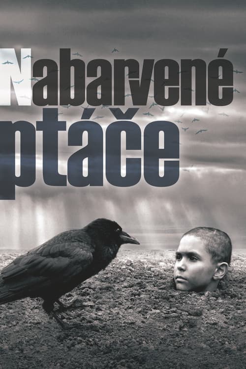Nabarvené ptáče (2019) poster
