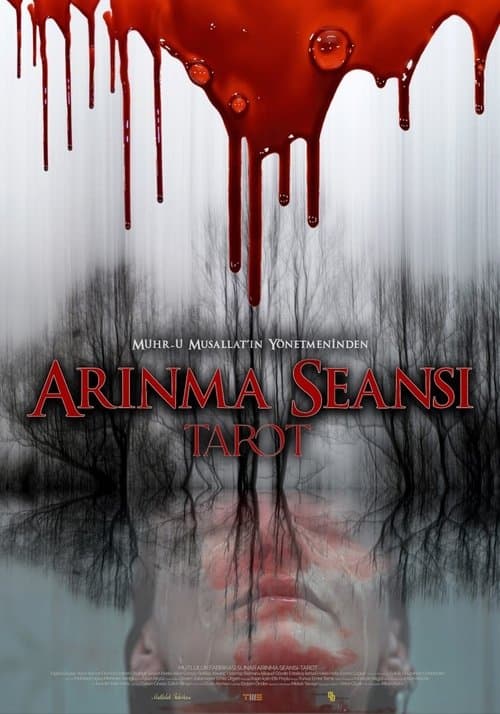 Arınma Seansı: Tarot (2022) poster