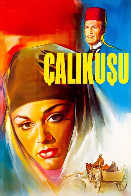 Çalıkuşu (1966) poster