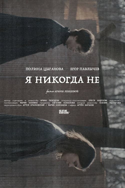 Я никогда не (2026) poster