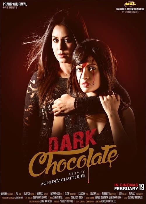 Dark Chocolate (2016) poster