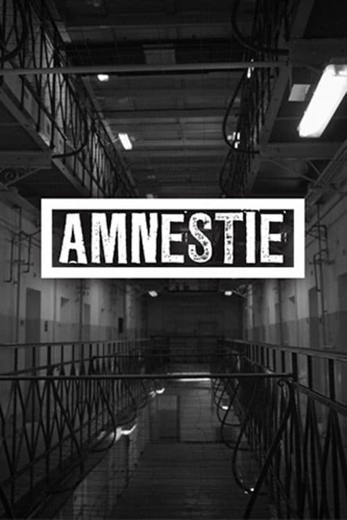 Amnestie (2019) poster