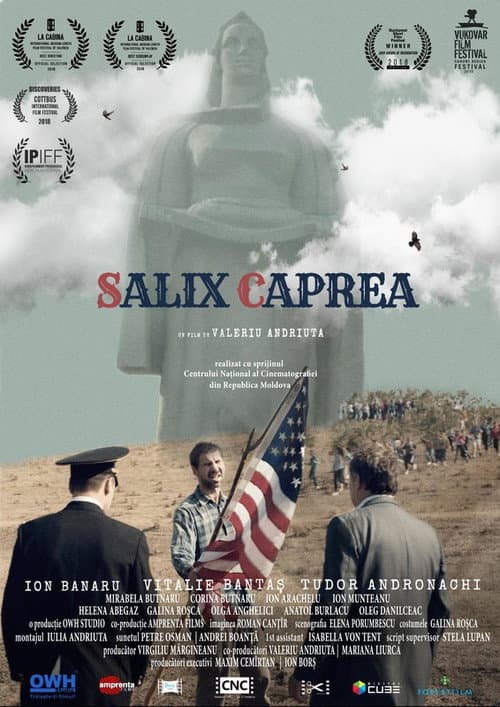 Salix Caprea (2018) poster