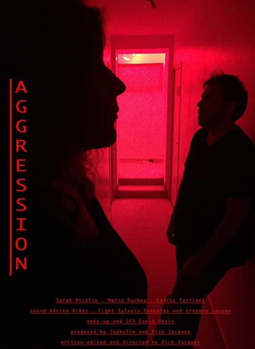 Aggression (2017) poster