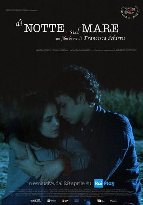 Di notte, sul mare (2020) poster