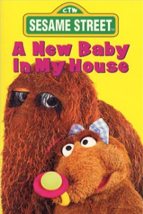 Sesame Street: A New Baby In My House (1994) poster