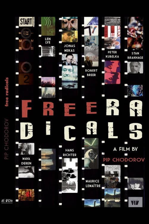 Free Radicals: A History of Experimental Film (2011) poster