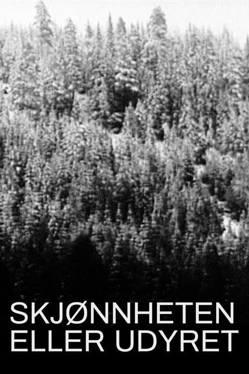Skjønnheten eller udyret (1992) poster