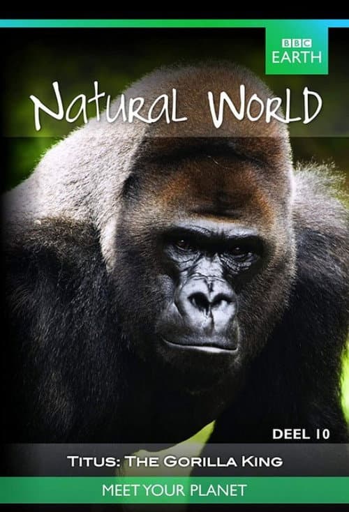 Titus: The Gorilla King (2008) poster