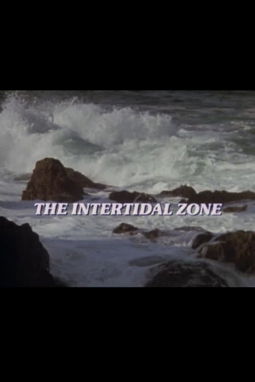 The Intertidal Zone (1985) poster