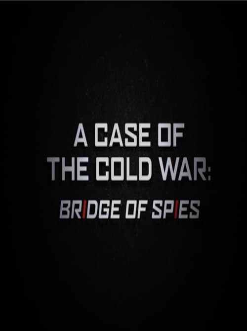 A Case of the Cold War: Bridge of Spies (2016) poster