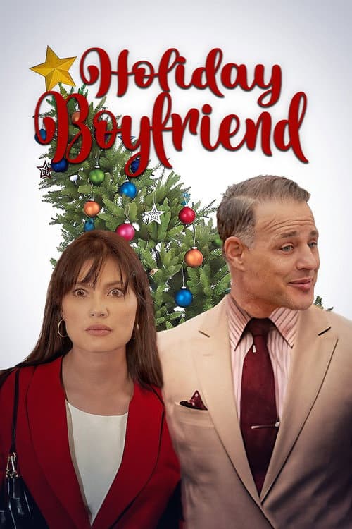 Holiday Boyfriend (2023) poster
