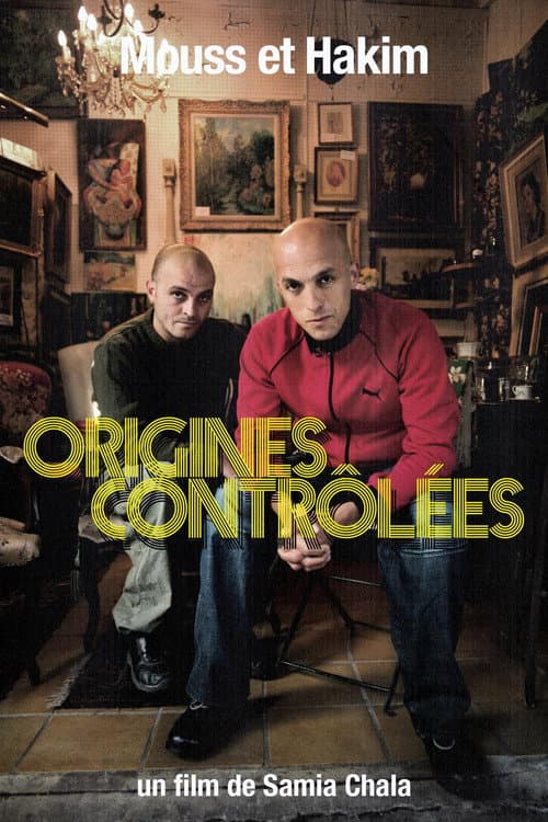 Mouss et Hakim, origines contrôlées (2011) poster