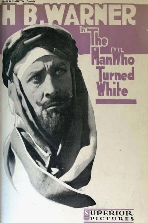 The Man Who Turned White (1919) poster