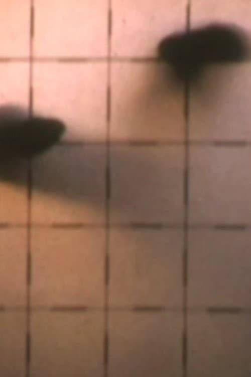2nd Floor Film (1972) poster