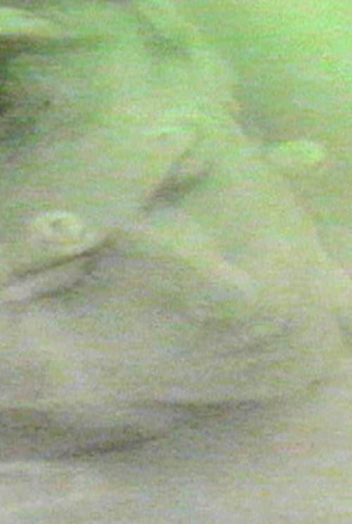 finally destroy us (1991) poster