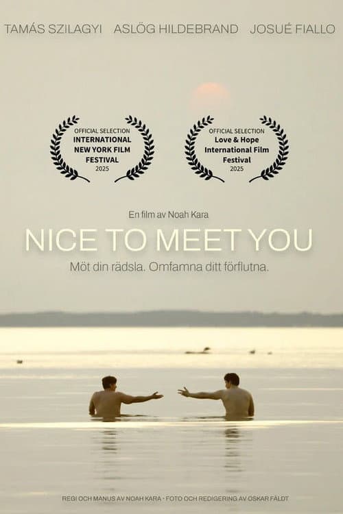 Nice to Meet You (2026) poster