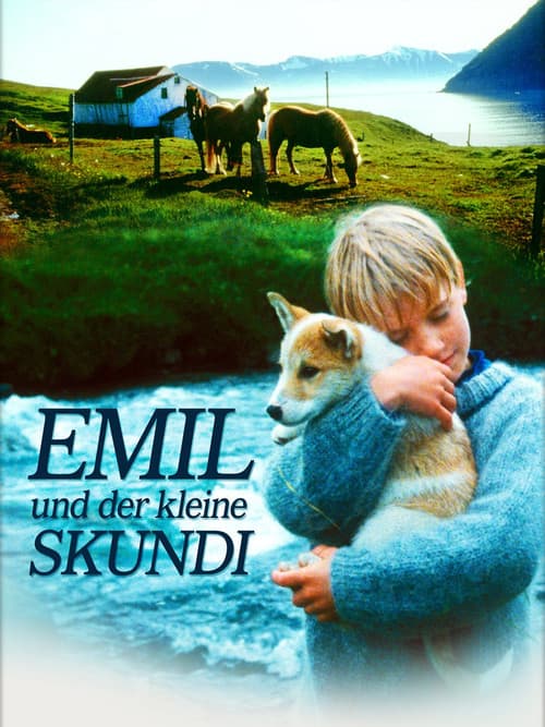 Skýjahöllin (1994) poster