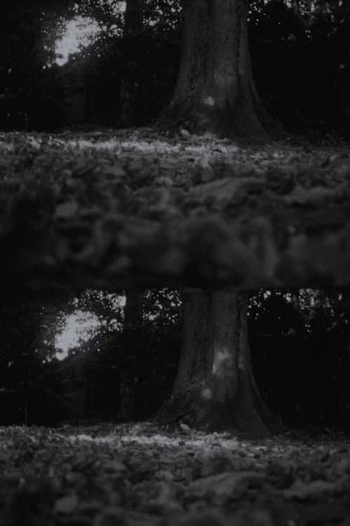Autumn Leaves (2025) poster