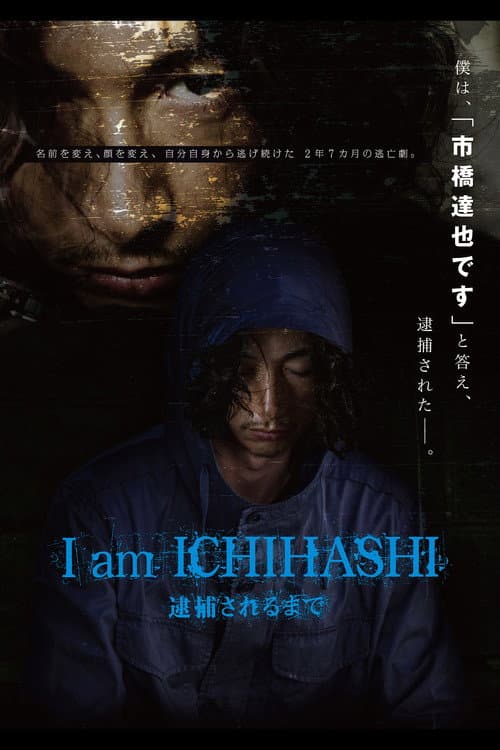 I am ICHIHASHI 逮捕されるまで (2013) poster