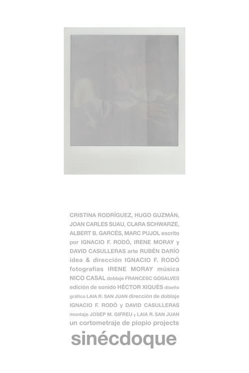 Sinécdoque (2013) poster