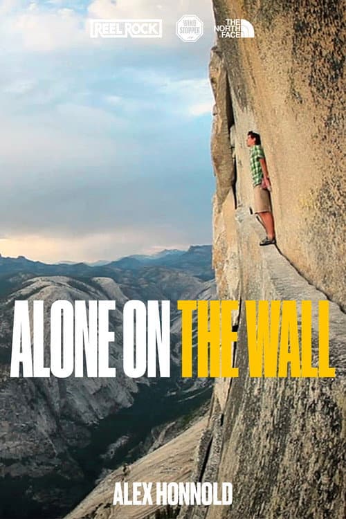 Alone On The Wall (2010) poster