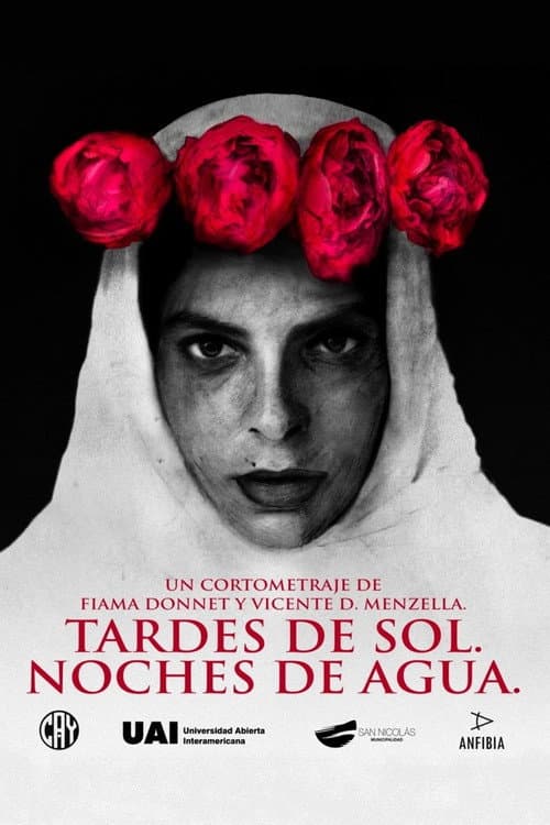 Tardes de sol. Noches de agua. (2019) poster