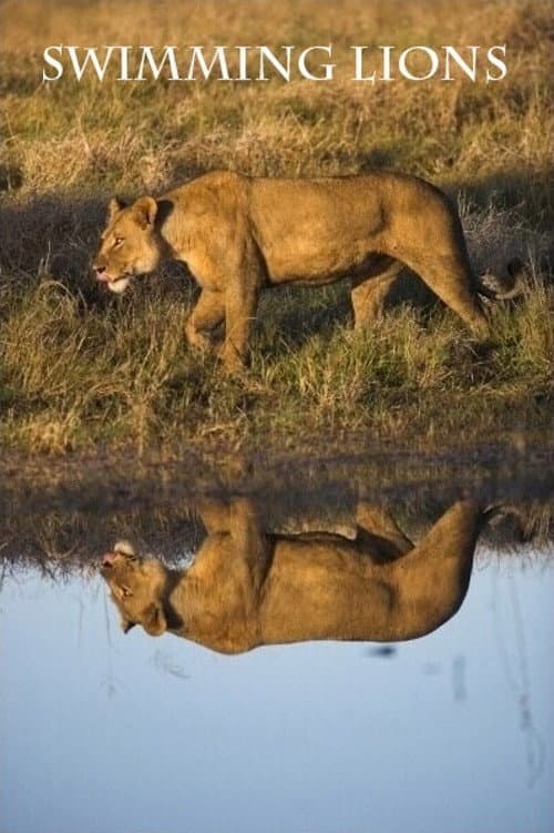 Swimming Lions (2003) poster