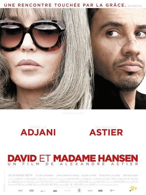 David et Madame Hansen (2012) poster