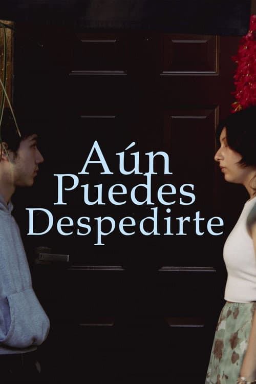 Aún puedes despedirte (2025) poster