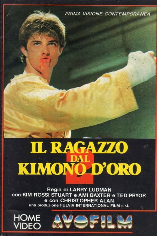 Karate Warrior 2 (1988) poster