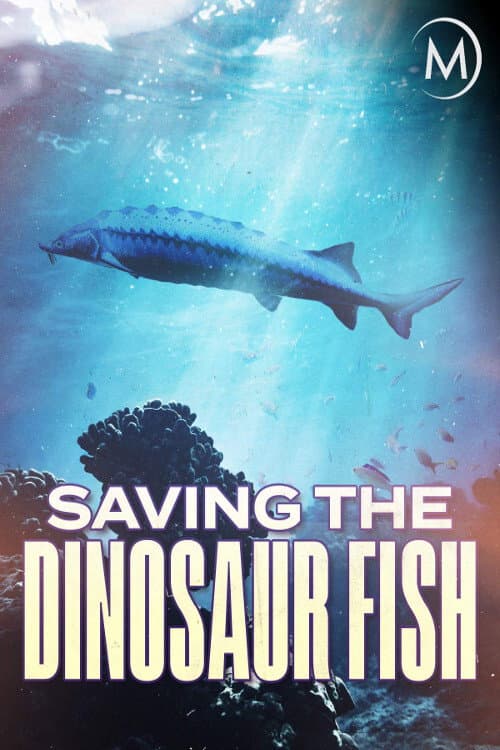 Saving the Dinosaur Fish (2020) poster