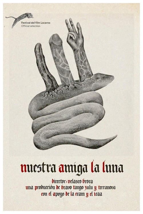 Nuestra amiga la luna (2016) poster