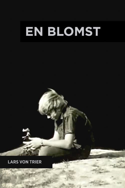 En blomst (1971) poster