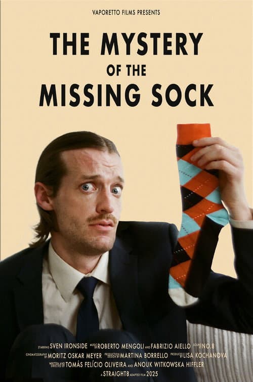 The Mystery of the Missing Sock (2025) poster