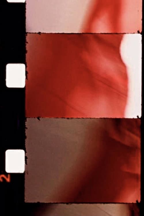 Le Drapeau de l'étoile (1989) poster