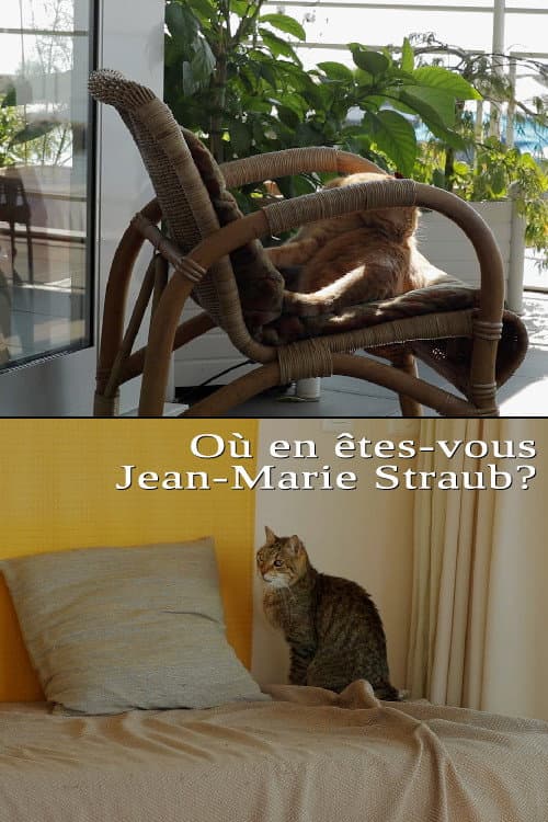 Où en êtes-vous, Jean-Marie Straub ? (2016) poster
