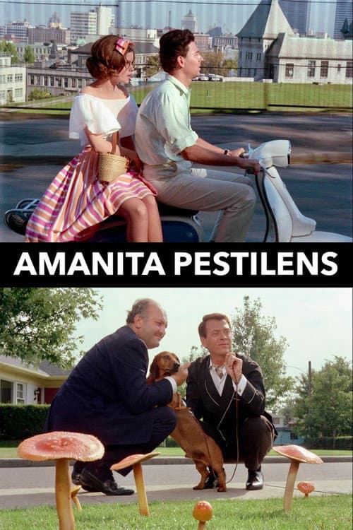 Amanita Pestilens (1973) poster