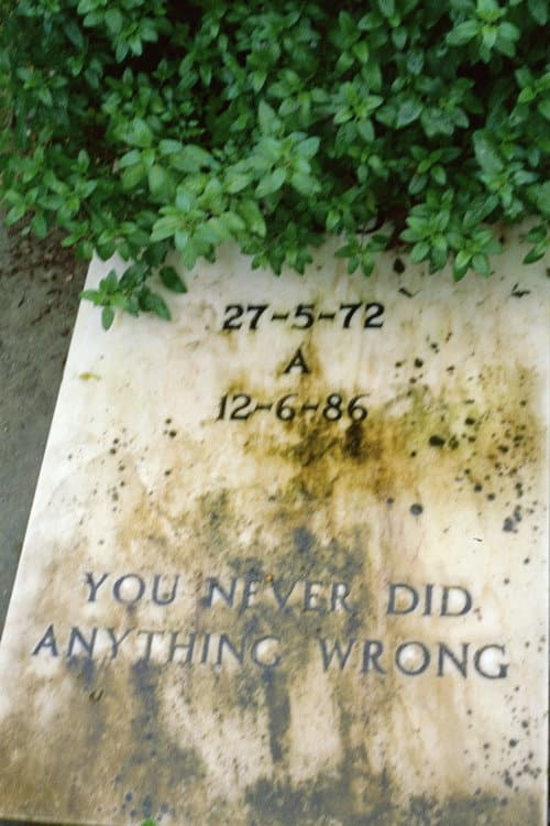 You never did anything wrong (2024) poster