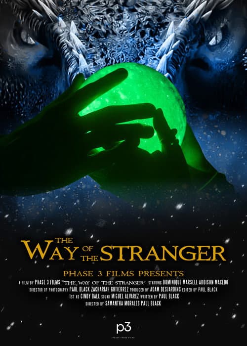 The Way of the Stranger (2024) poster
