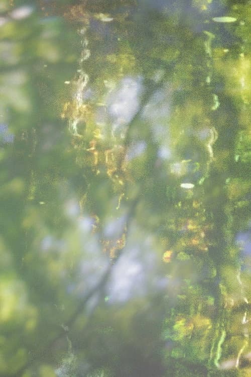 Printemps (2025) poster